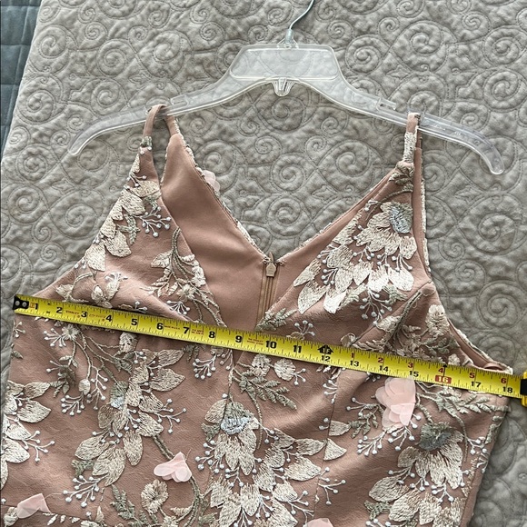 Dress the Population Blush Floral Embroidered Tulle Long Dress - Picture 12 of 16